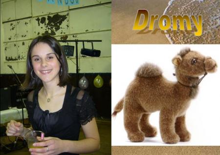 spécial Dromy!!!
